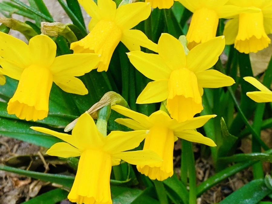 IMG_3207.jpg?type=w966