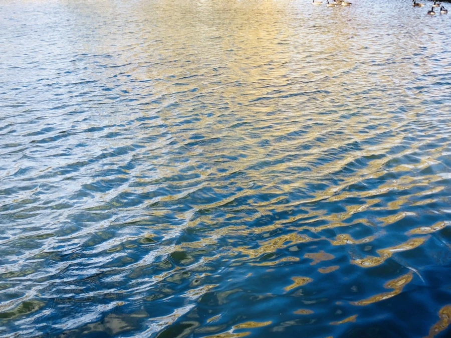 IMG_9183.jpg?type=w966