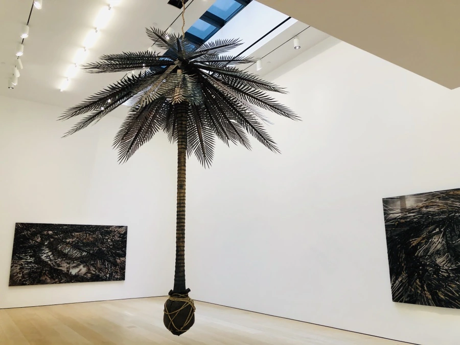 IMG_6645.jpg?type=w966