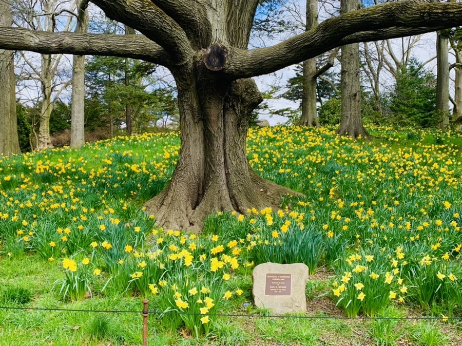 IMG_6546.jpg?type=w966