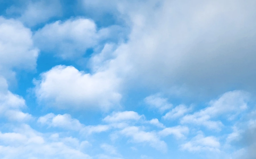 IMG_9670.jpg?type=w966