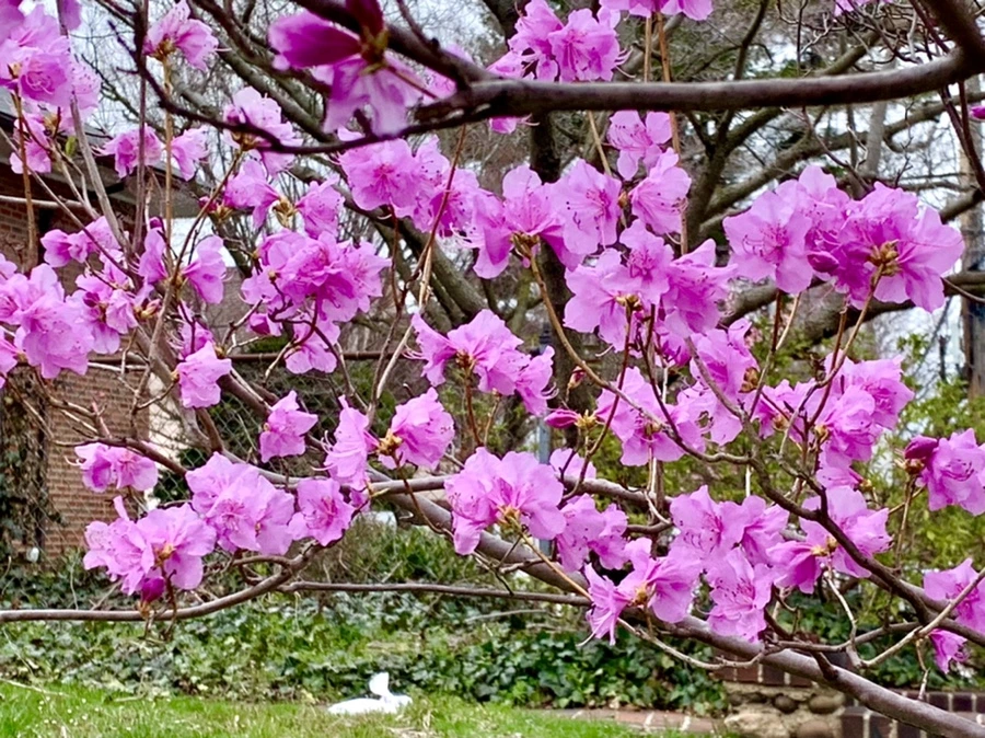 IMG_6770.jpg?type=w966