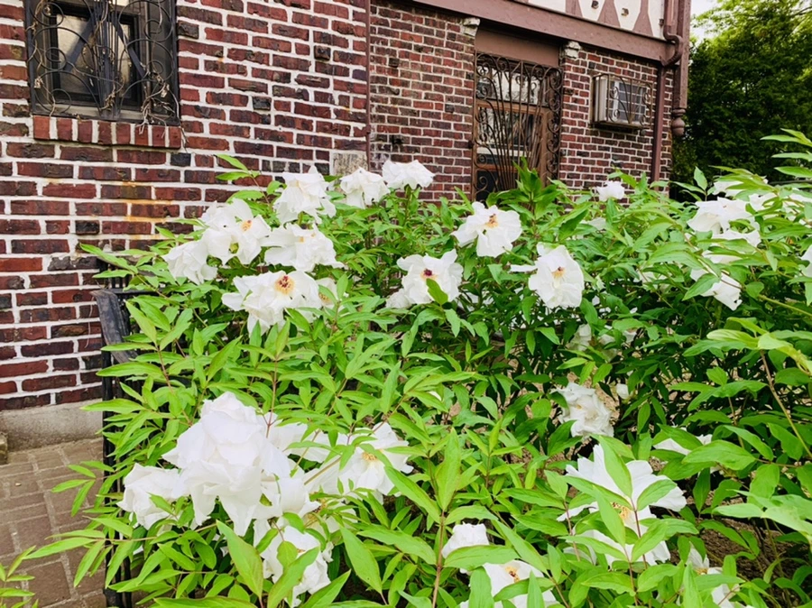 IMG_8944.jpg?type=w966