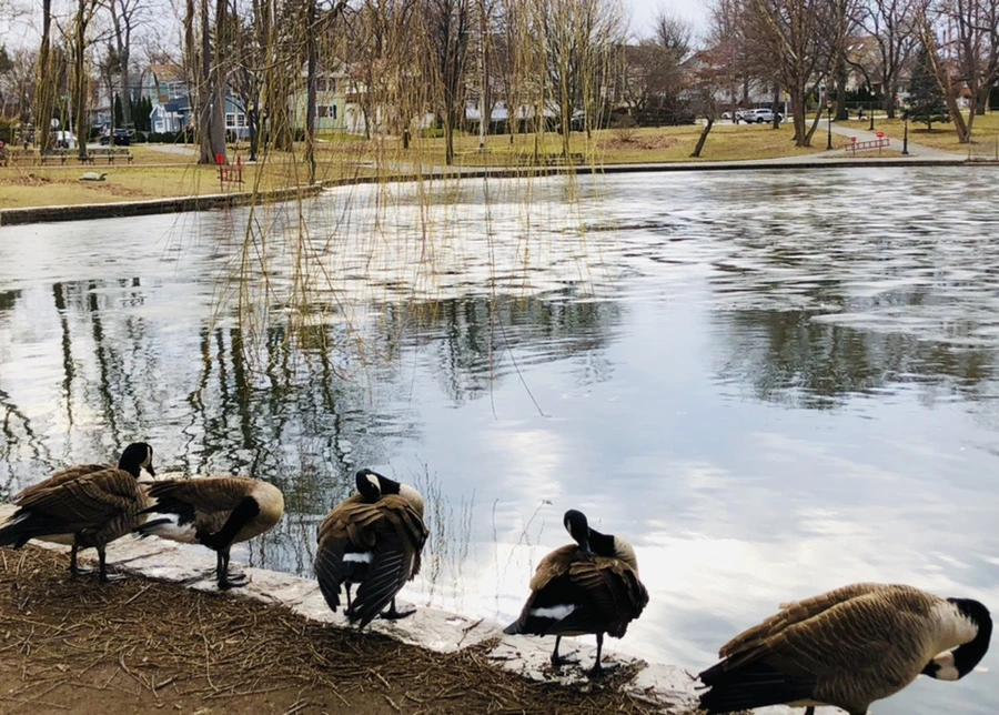 IMG_5062.jpg?type=w966