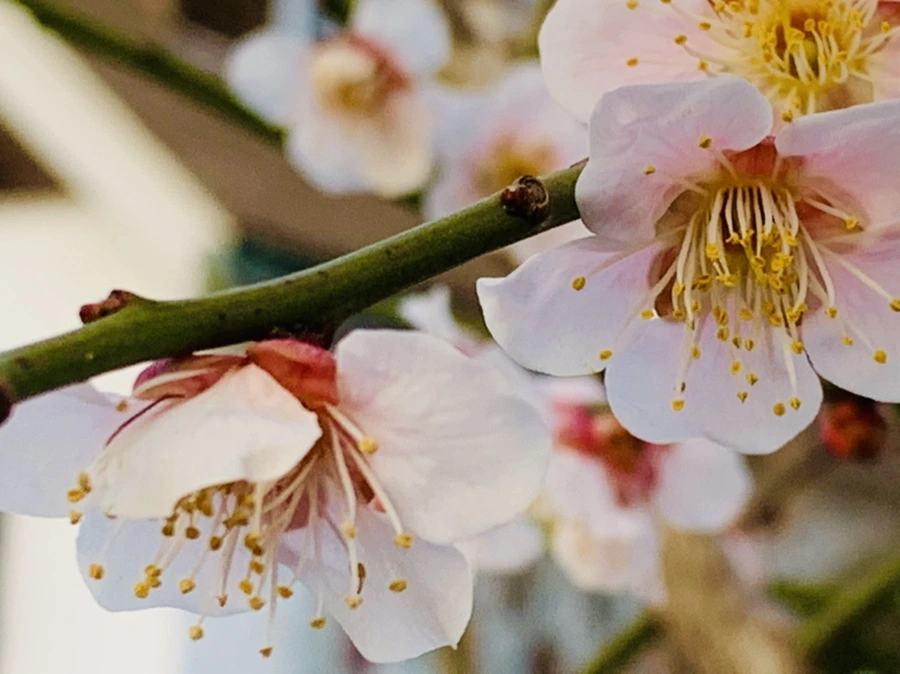 IMG_2833.jpg?type=w966