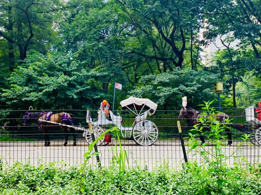 IMG_1610.jpg?type=w966