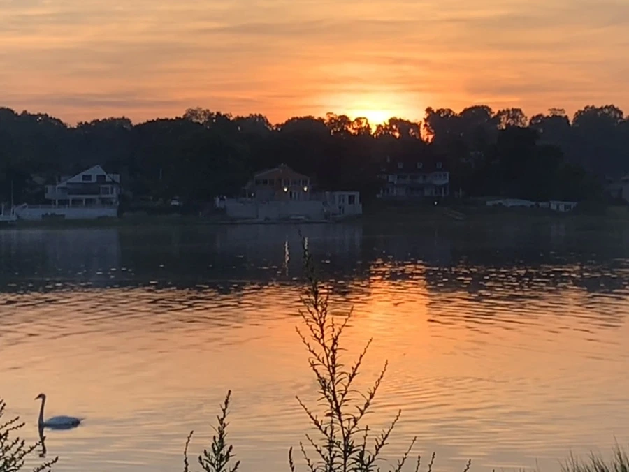 IMG_6819.jpg?type=w966