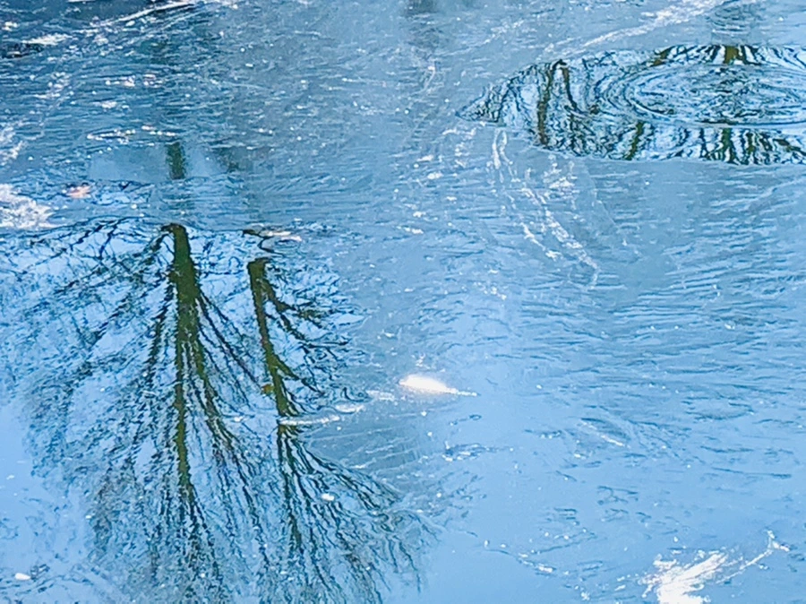 IMG_9090.jpg?type=w966