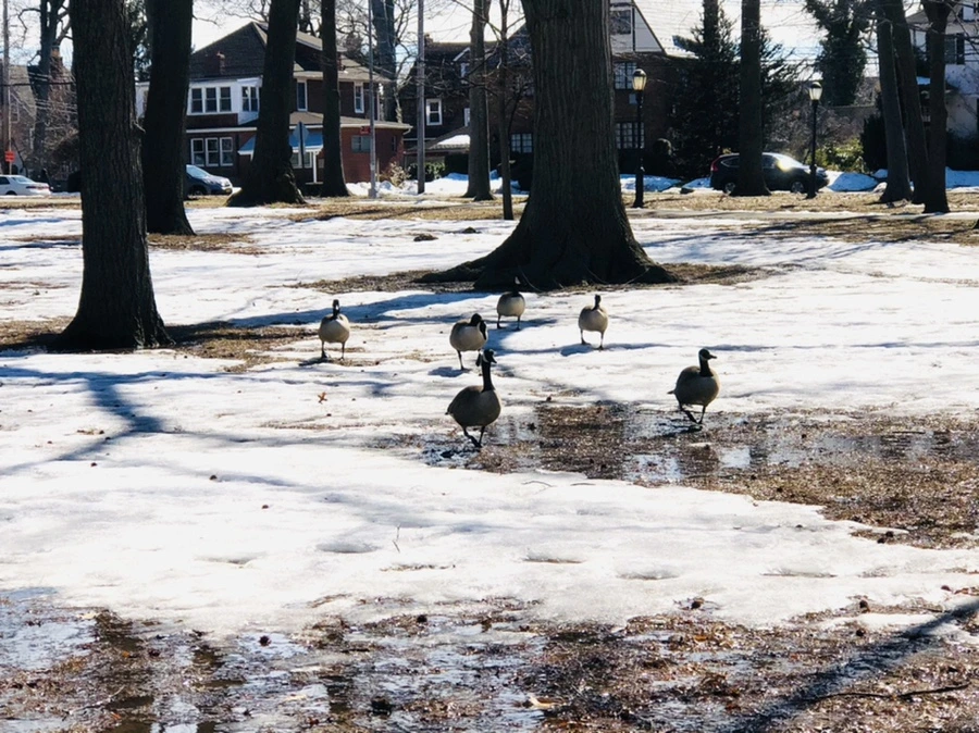 IMG_4650.jpg?type=w966