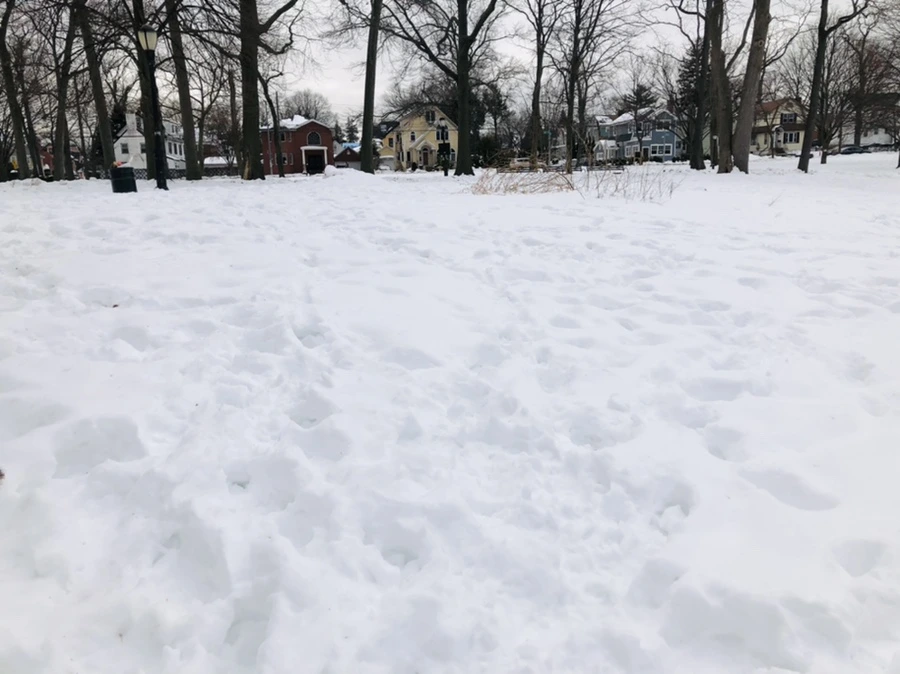 IMG_2597.jpg?type=w966