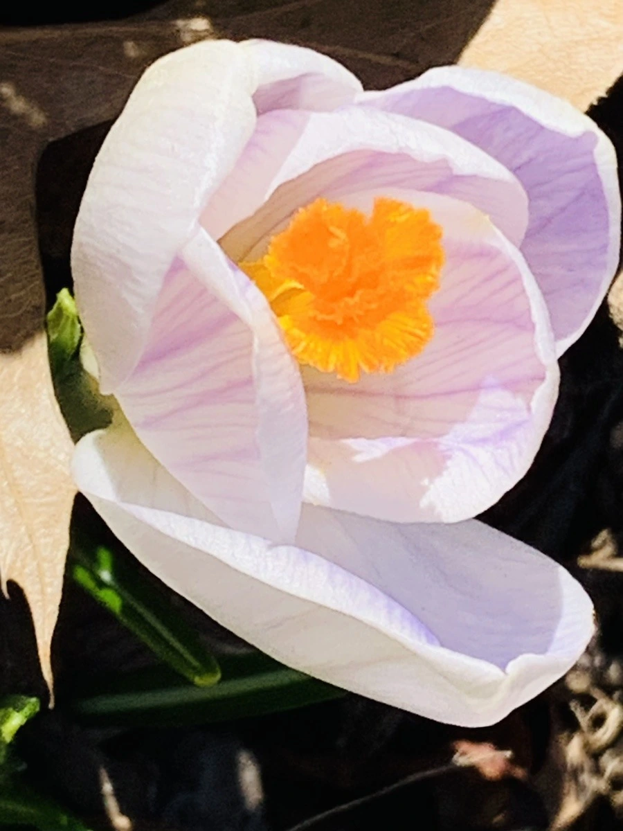 d7EtifYvdV9Ptj3g6uWIwkT_F4Q