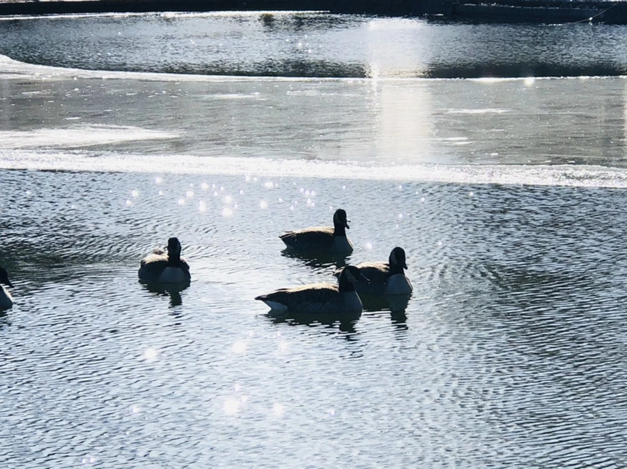 IMG_5526.jpg?type=w966