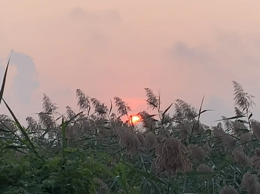 IMG_1087.jpg?type=w966