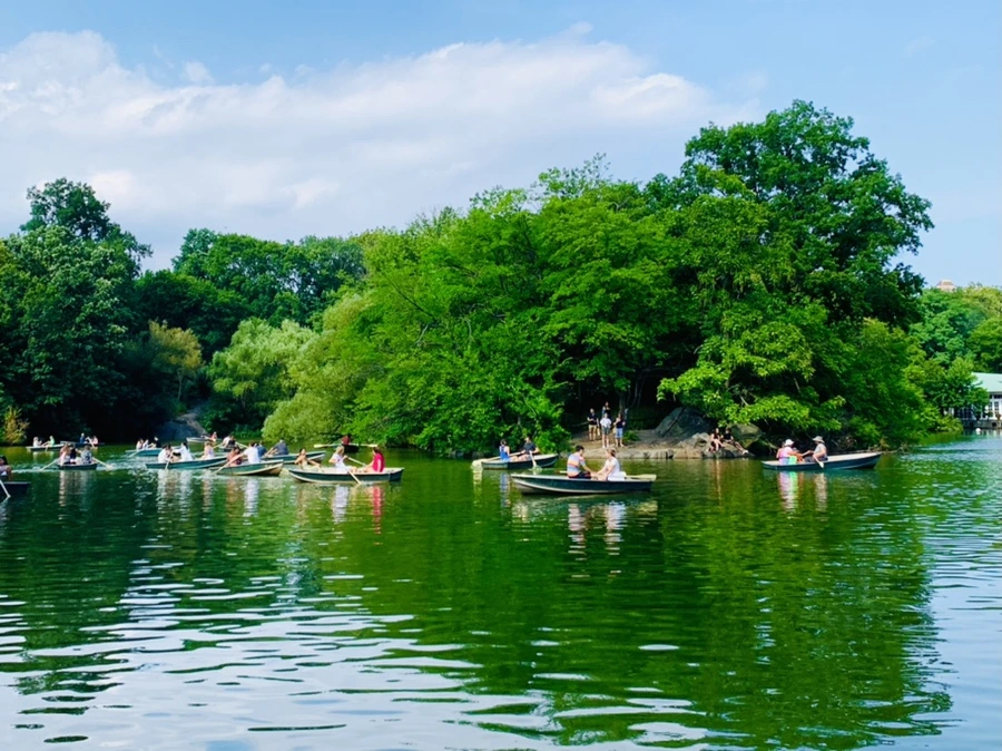 IMG_0646.jpg?type=w966