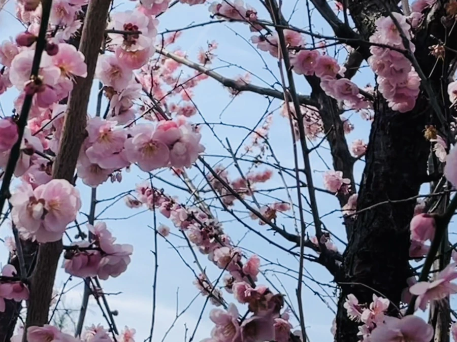 IMG_6622.jpg?type=w966