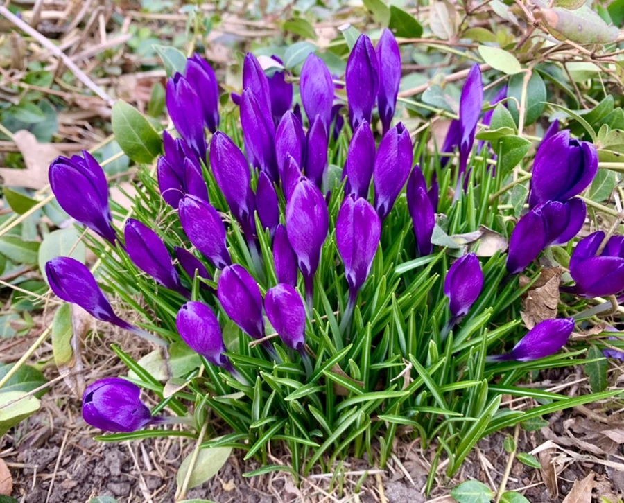 IMG_1666.jpg?type=w966