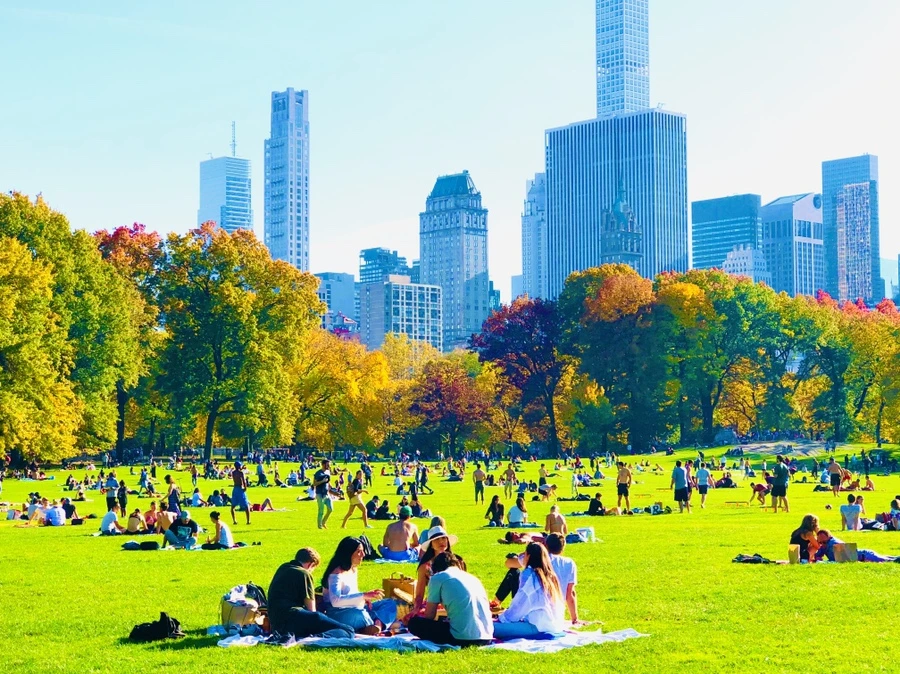 IMG_3949.jpg?type=w966