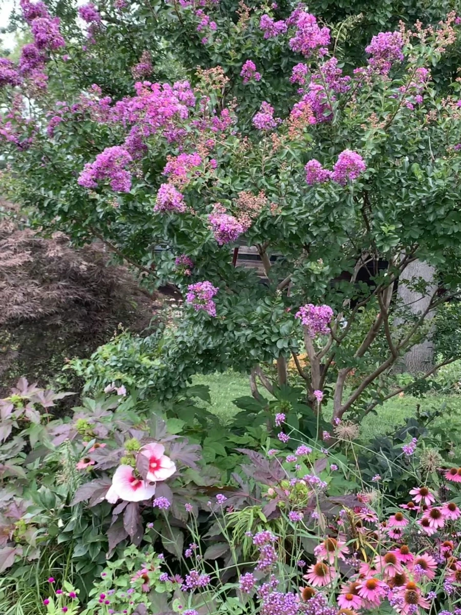 IMG_5092.jpg?type=w966