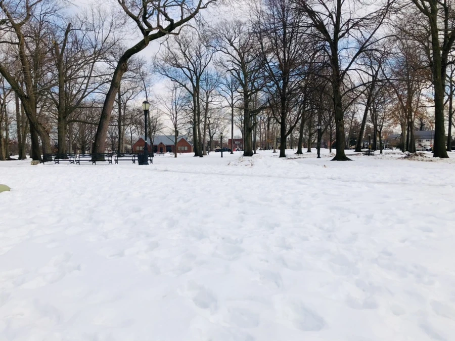 IMG_2892.jpg?type=w966