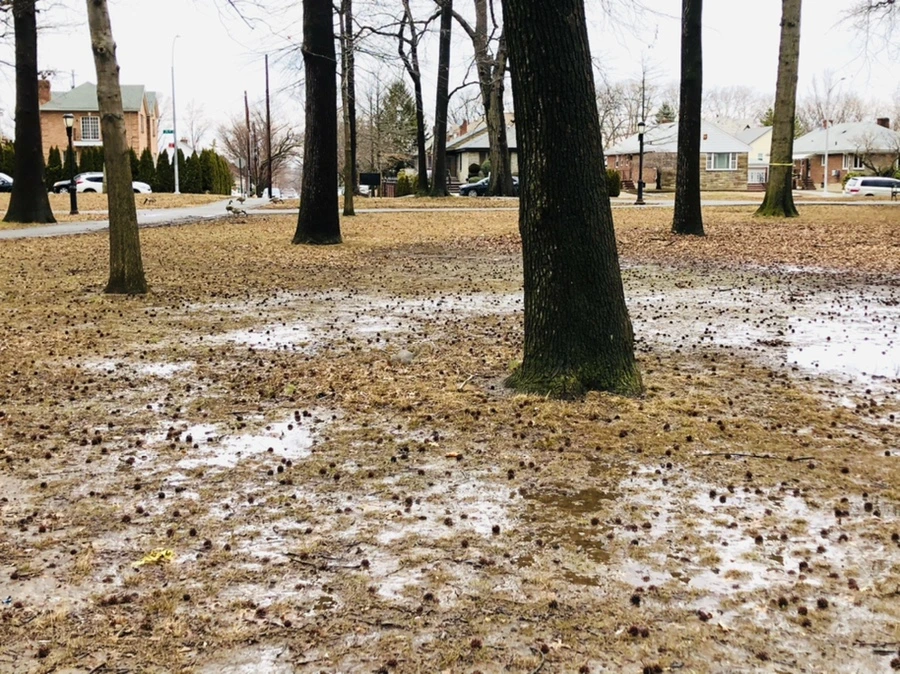 IMG_6539.jpg?type=w966