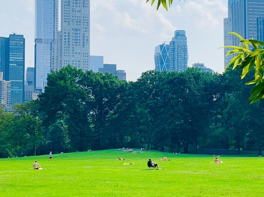 IMG_1783.jpg?type=w966