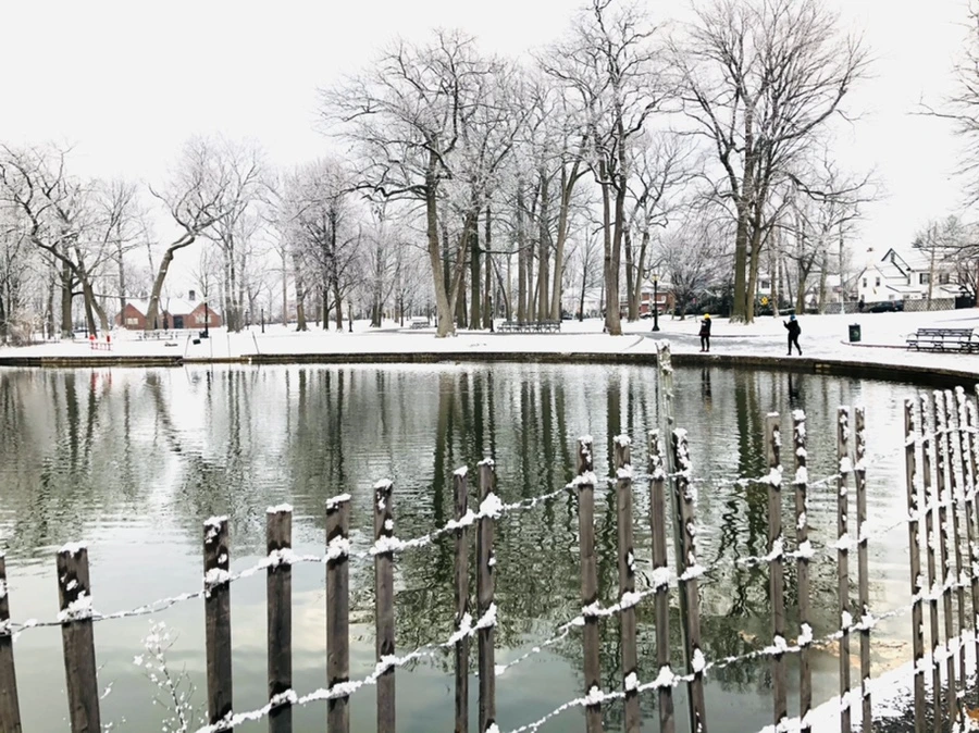 IMG_4480.jpg?type=w966