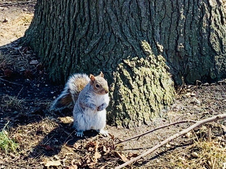 IMG_6942.jpg?type=w966