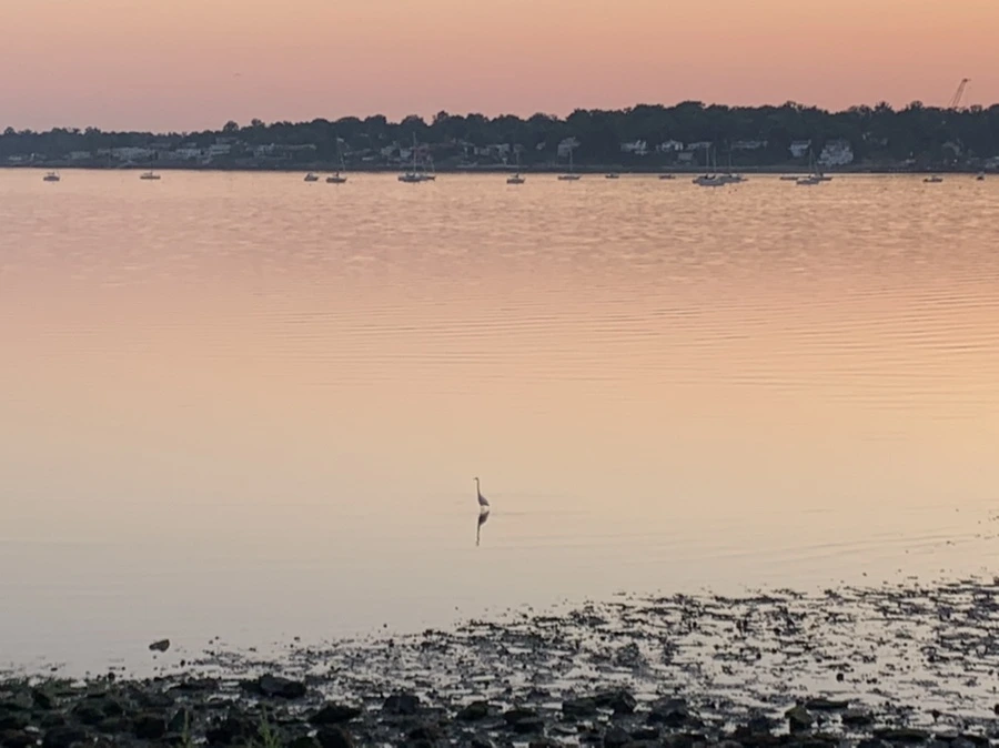 IMG_0056.jpg?type=w966