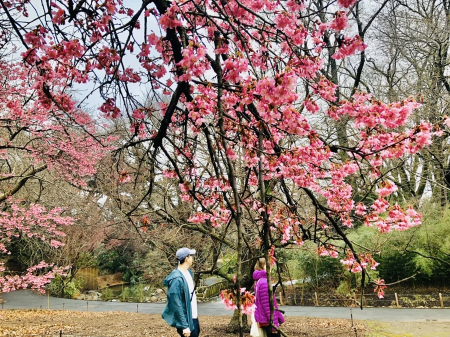 IMG_6191.jpg?type=w966