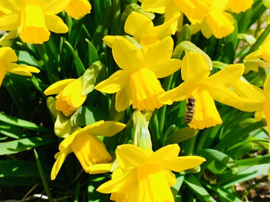 IMG_3276.jpg?type=w966