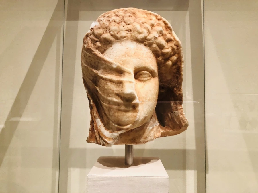 IMG_5027.jpg?type=w966