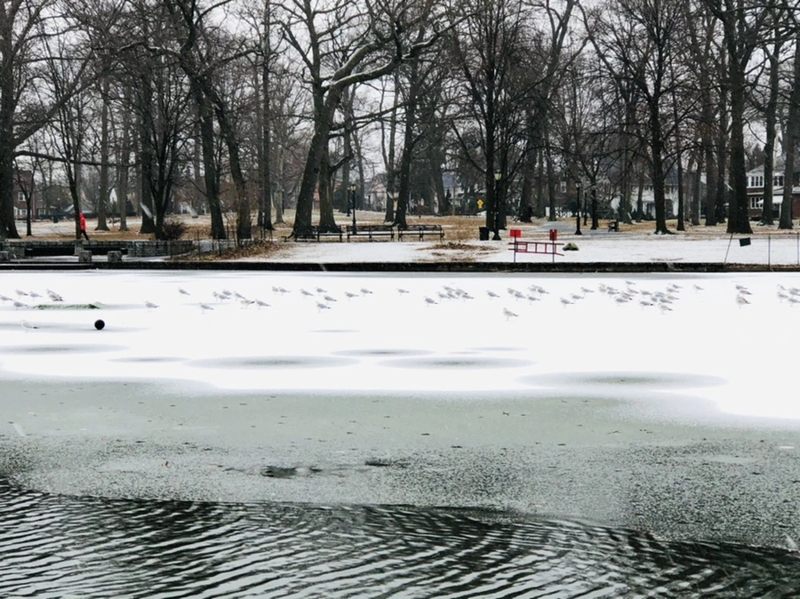 IMG_6105.jpg?type=w966