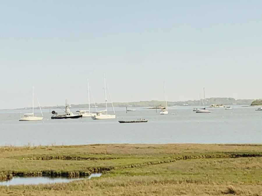 IMG_3188.jpg?type=w966