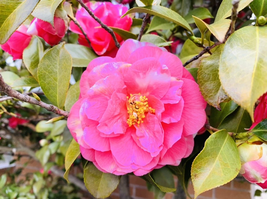 IMG_2930.jpg?type=w966