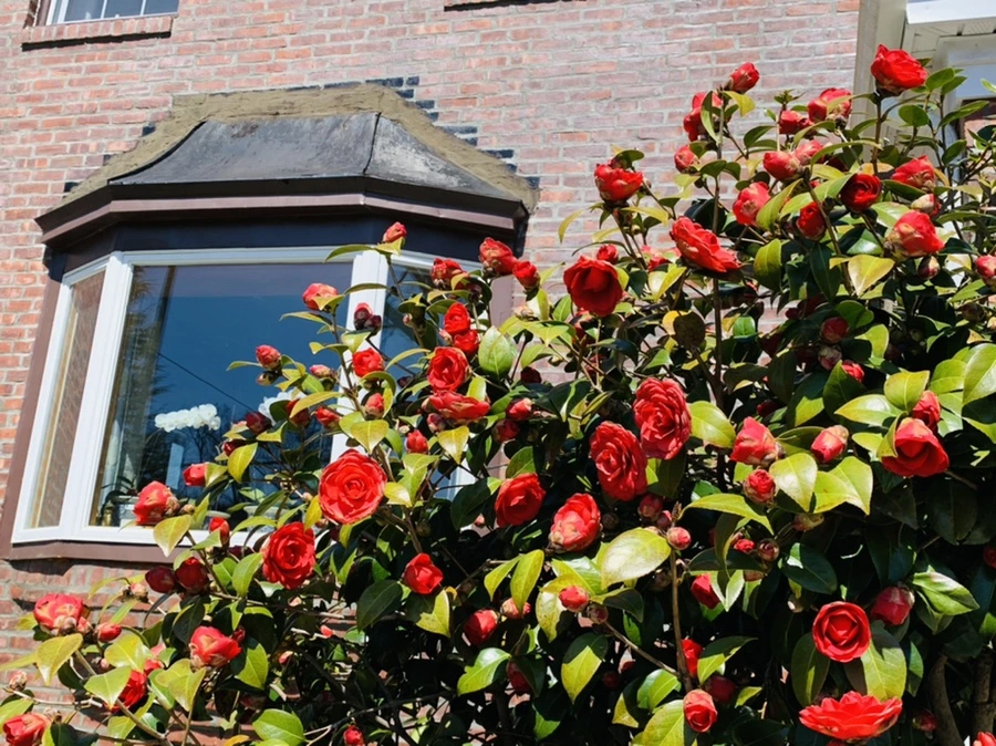 IMG_7755.jpg?type=w966