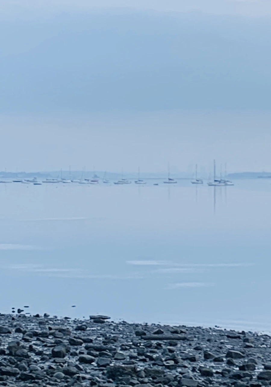 IMG_8178.jpg?type=w966