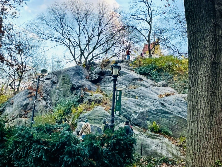 IMG_5306.jpg?type=w966