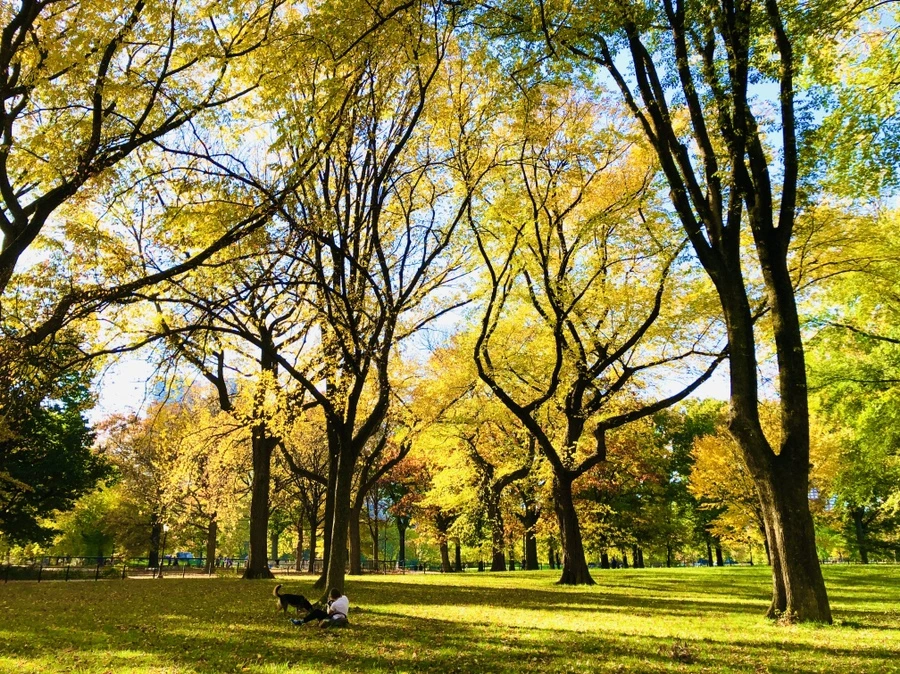 IMG_3481.jpg?type=w966