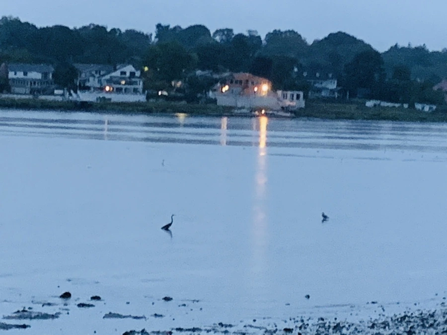 IMG_9232.jpg?type=w966