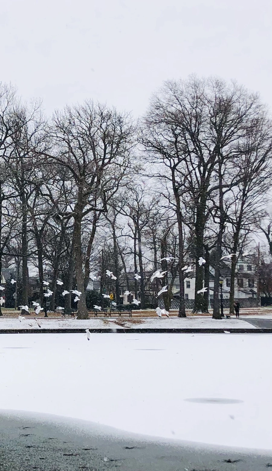 IMG_6099.jpg?type=w966