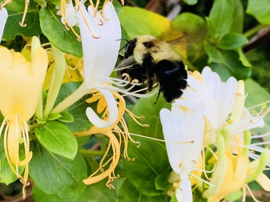 IMG_5201.jpg?type=w966