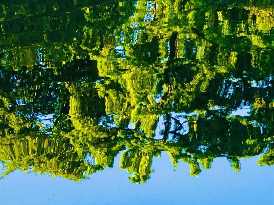 IMG_2623.jpg?type=w966