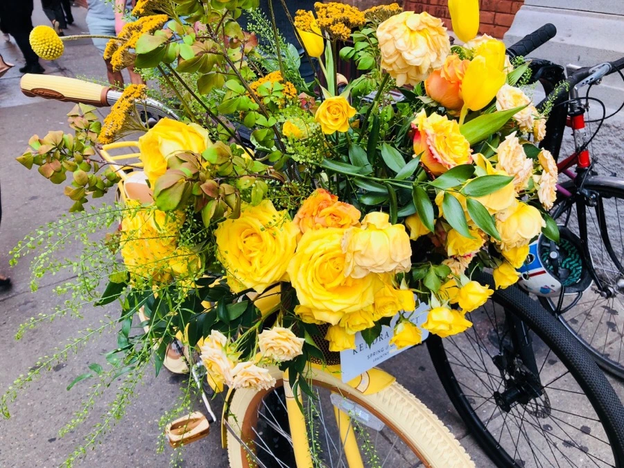 IMG_4794.jpg?type=w966