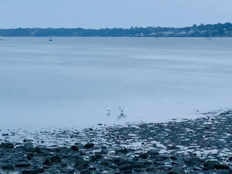 IMG_0695.jpg?type=w966