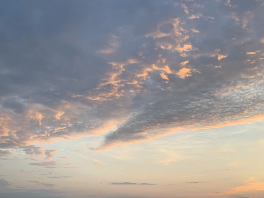 IMG_1202.jpg?type=w966