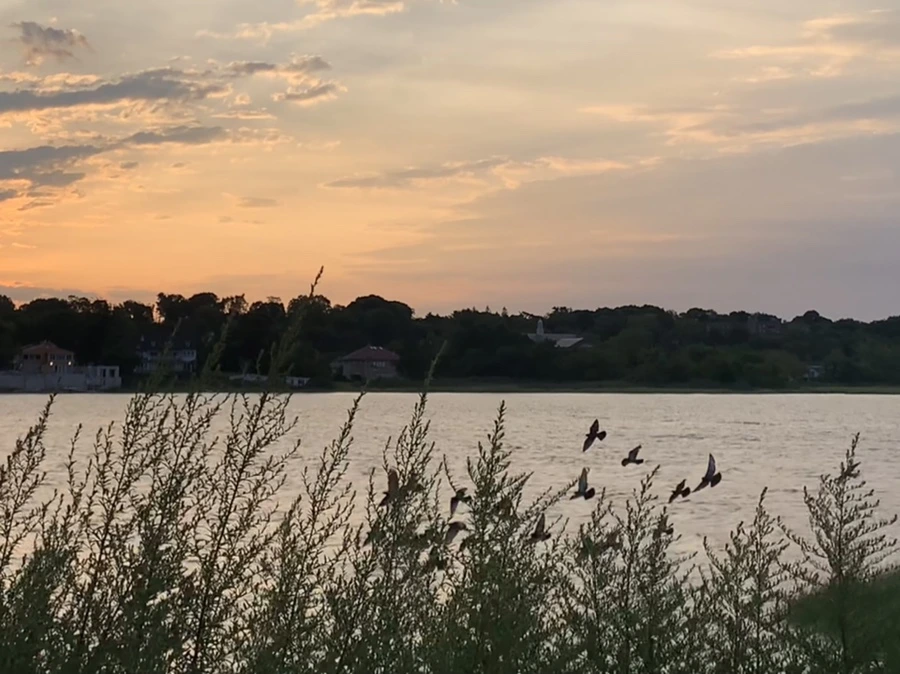 IMG_1731.jpg?type=w966