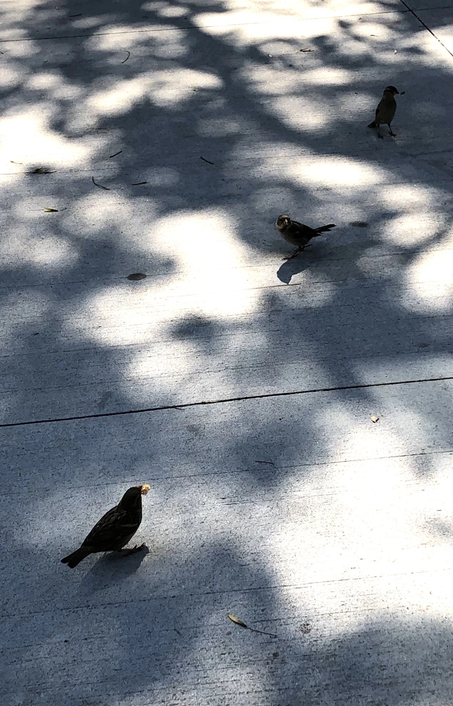 IMG_3471.jpg?type=w966