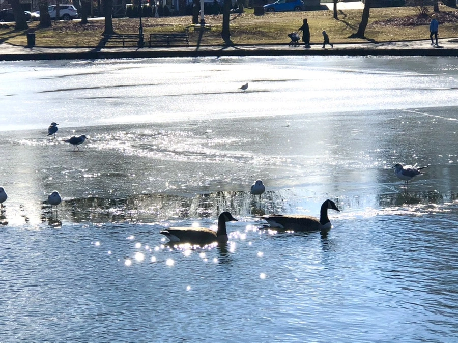 IMG_6856.jpg?type=w966