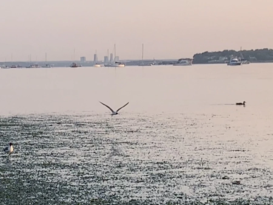 IMG_9613.jpg?type=w966