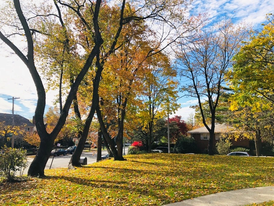 IMG_7481.jpg?type=w966